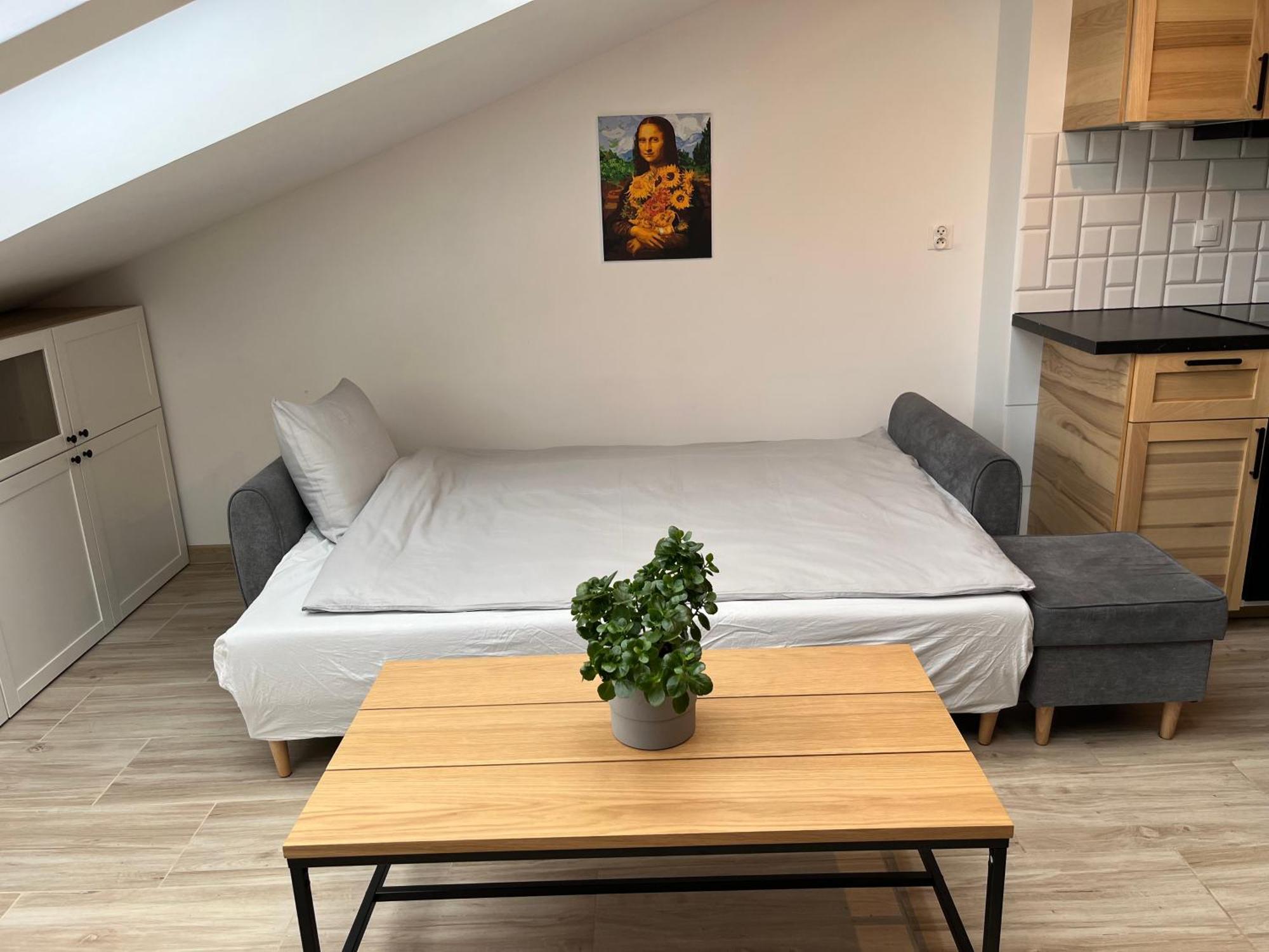 Feelhome Apartment With Kitchen 克拉科夫 外观 照片