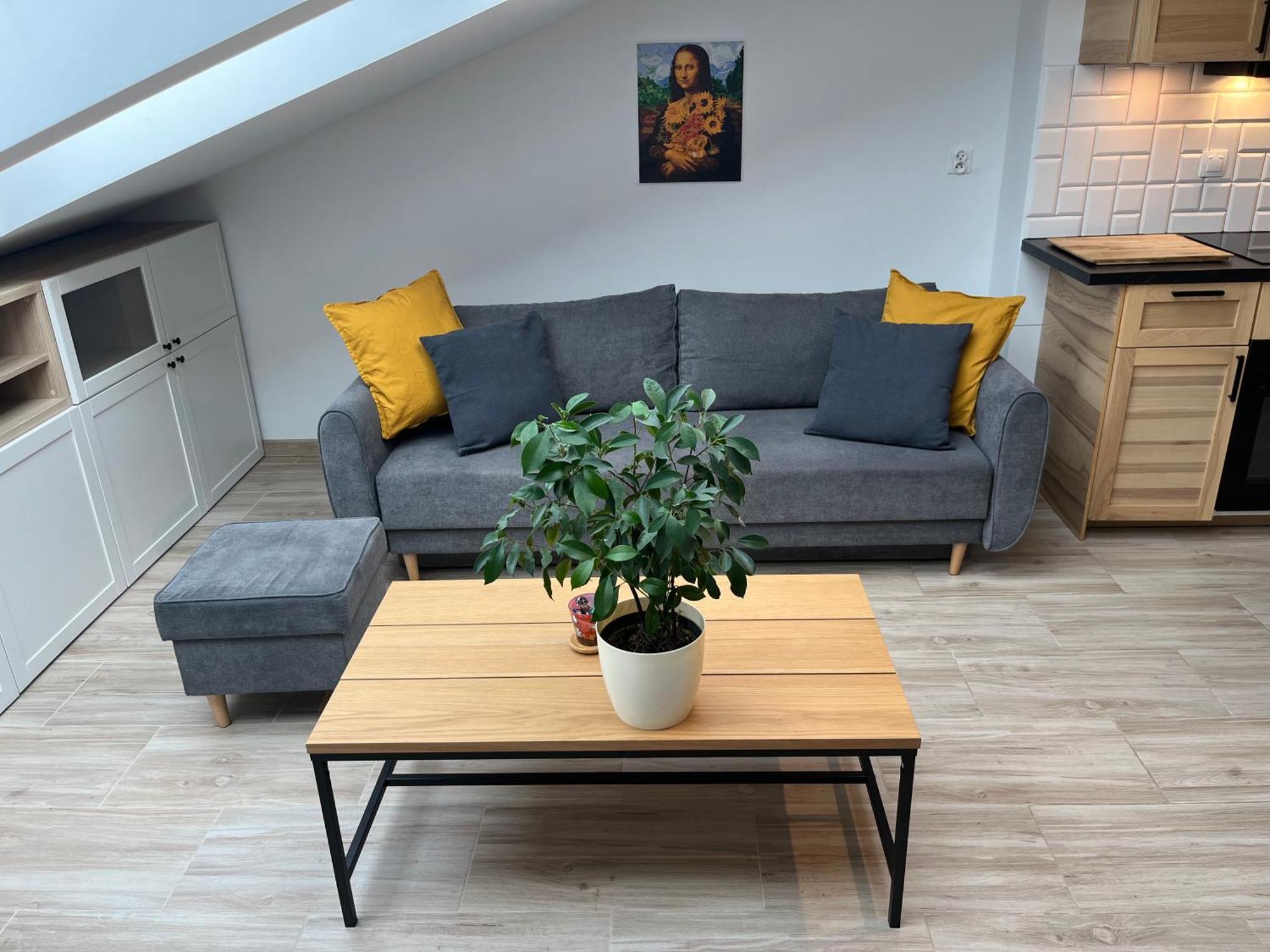Feelhome Apartment With Kitchen 克拉科夫 外观 照片