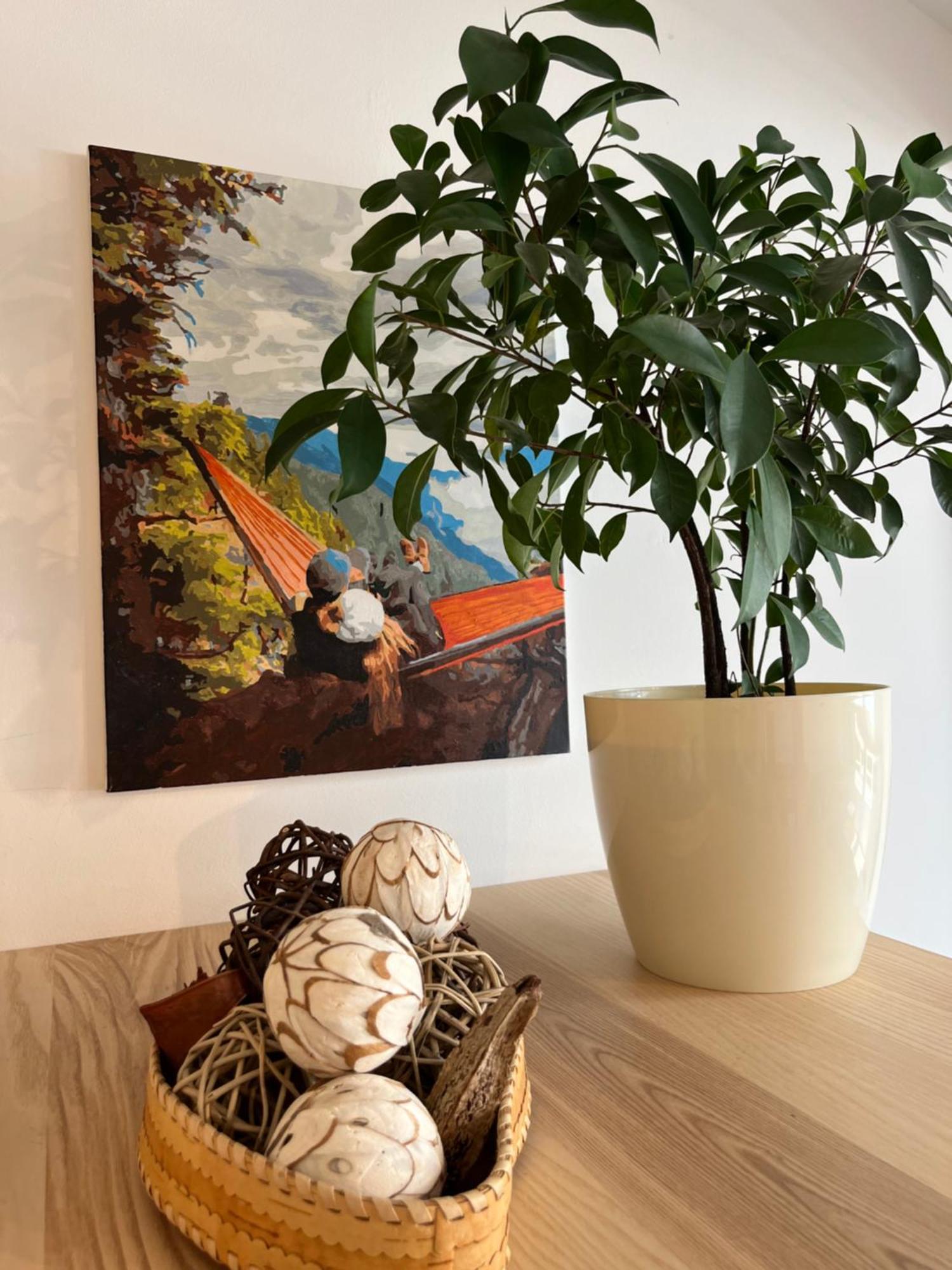 Feelhome Apartment With Kitchen 克拉科夫 外观 照片